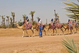 Marrakech Excurions, Giro in dromedario a Marrakech