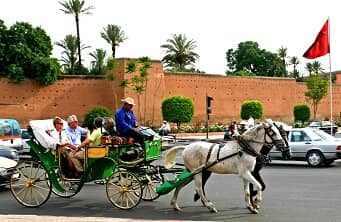 Marrakech Excurions, Balade en calèche à Marrakech : Jardins et remparts (1/2 journée)