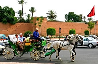 Marrakech Excurions, Tour of Marrakech by horse-drawn carriage: Gardens and ramparts