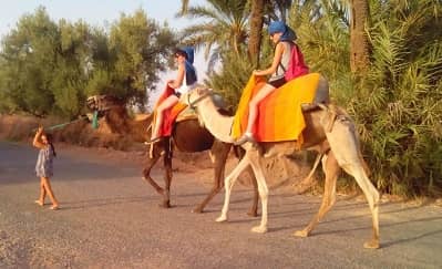 Quad e camelli a Marrakech