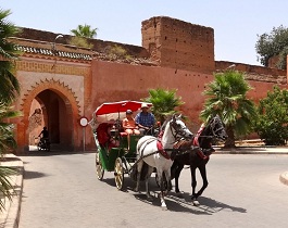 Marrakech Excurions, Tour en calèche à Marrakech en privé