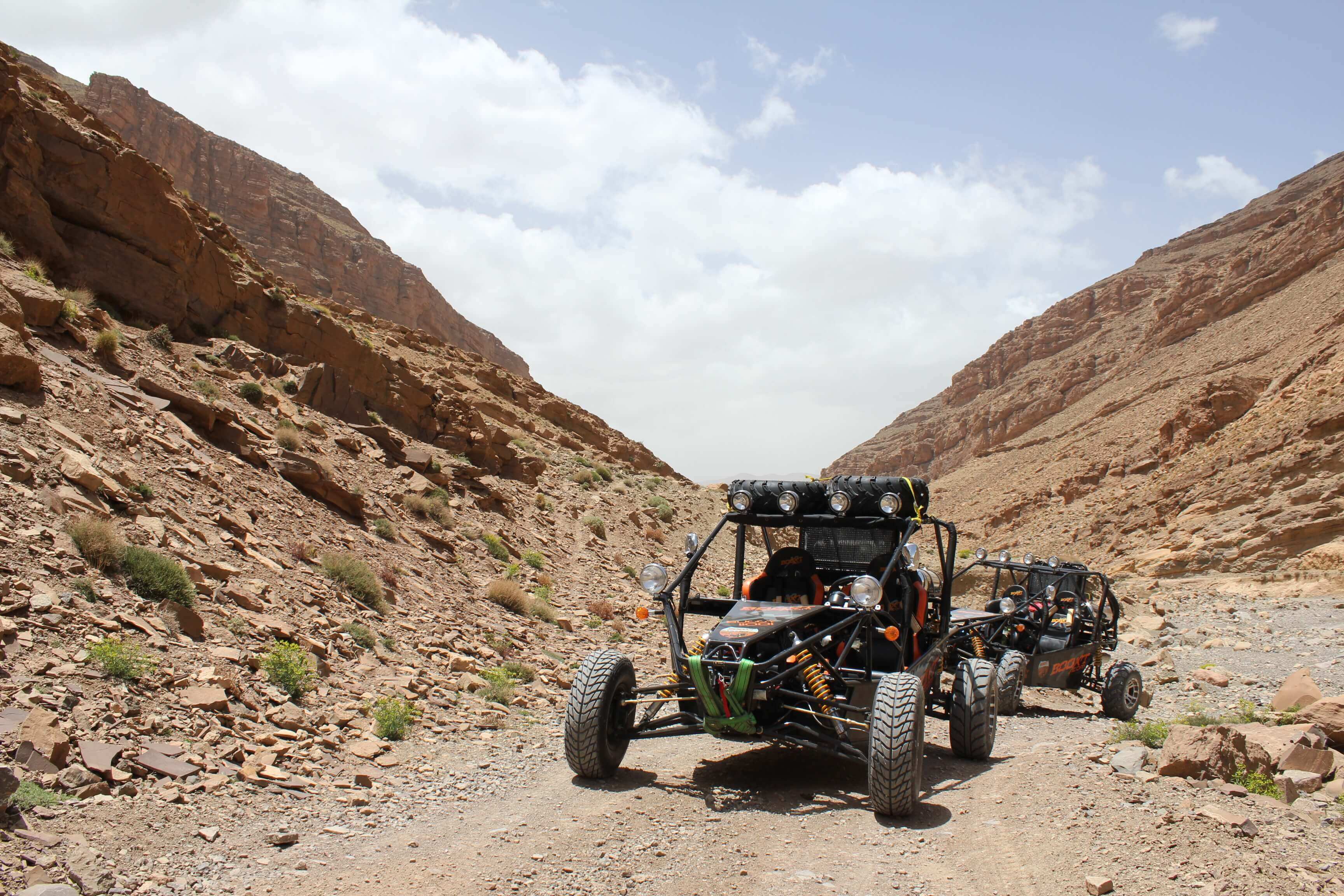 Marrakech Excurions, Giro in buggy e cammelli a Marrakech