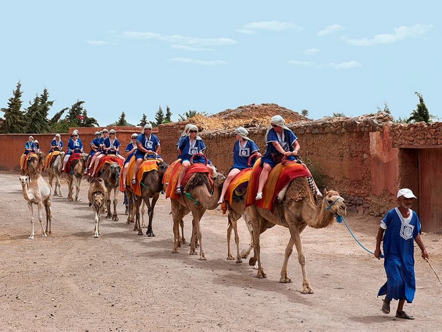 Marrakech Excurions, Buggy camels Marrakech