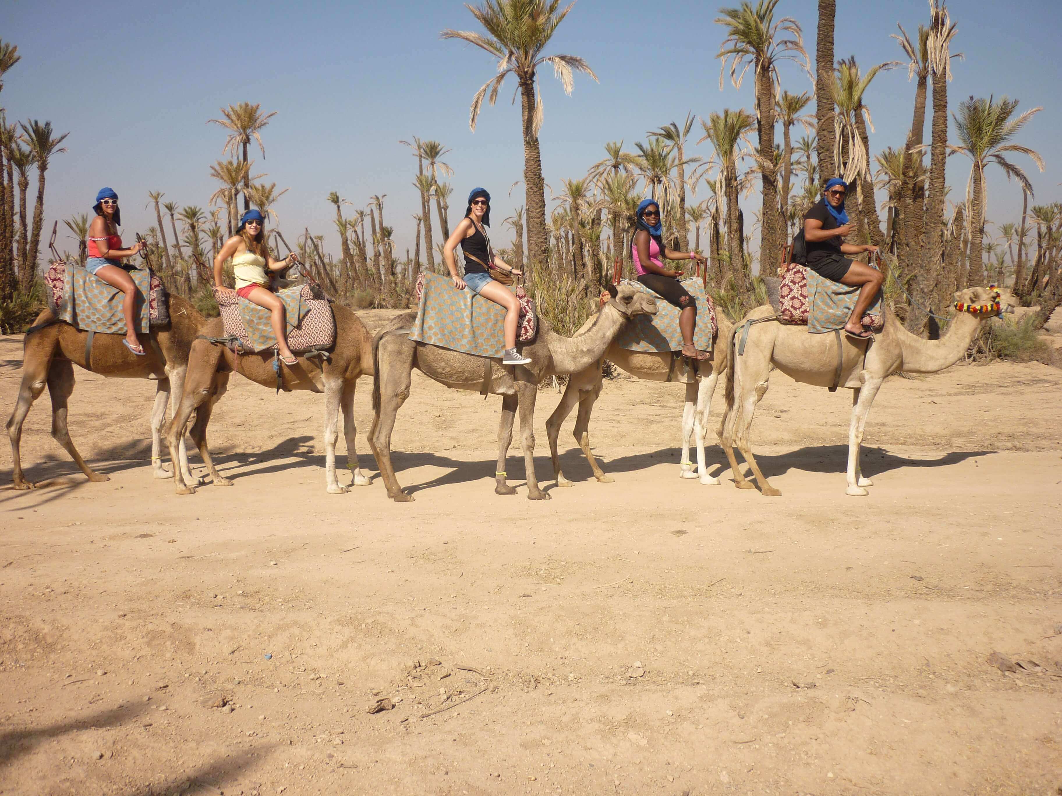 Marrakech Excurions, Giro in dromedario a Marrakech