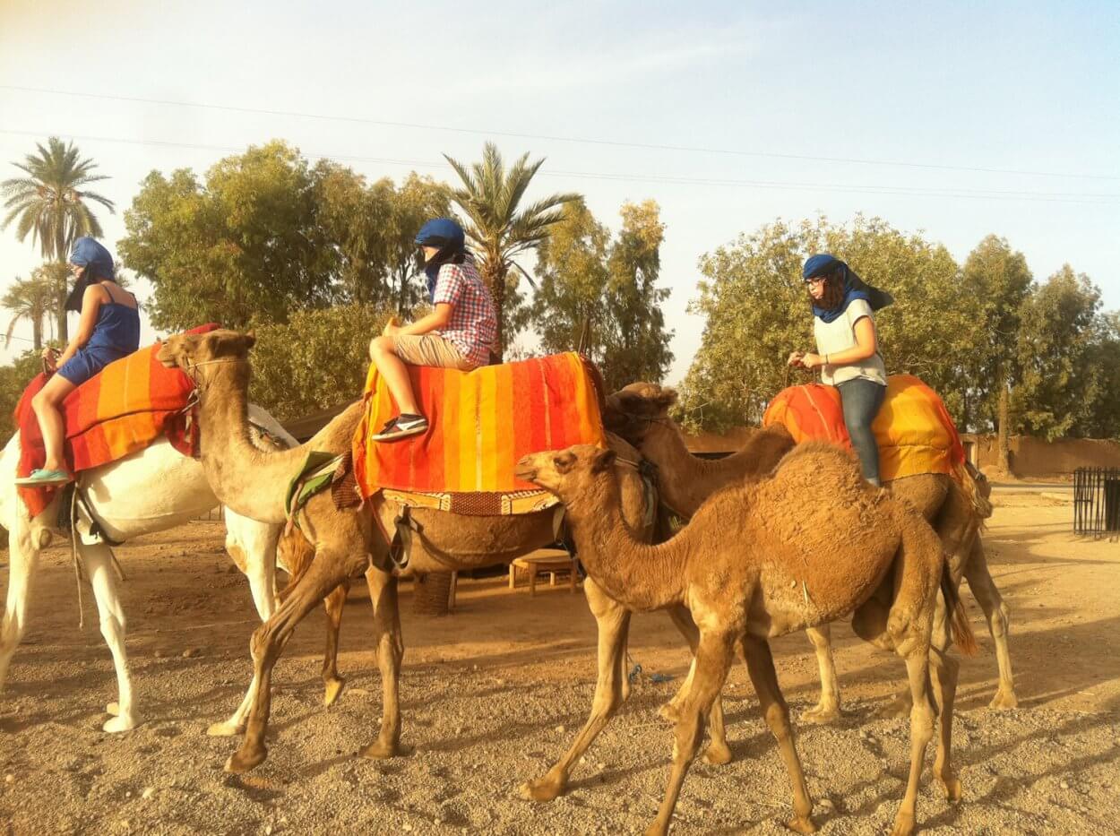 Marrakech Excurions, Giro in dromedario a Marrakech