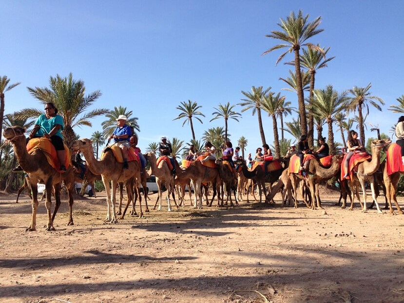 Marrakech Excurions, Giro in dromedario a Marrakech