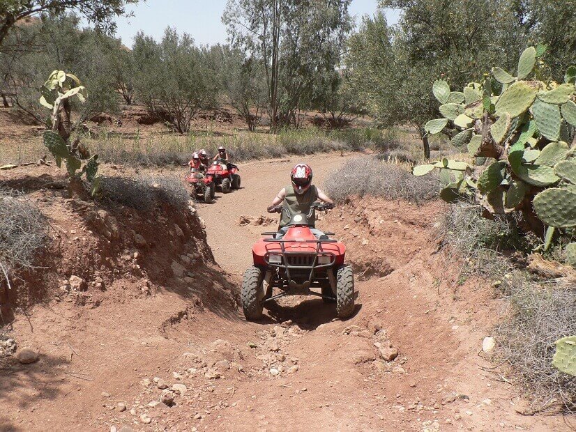 Marrakech Excurions, Quad e camelli a Marrakech