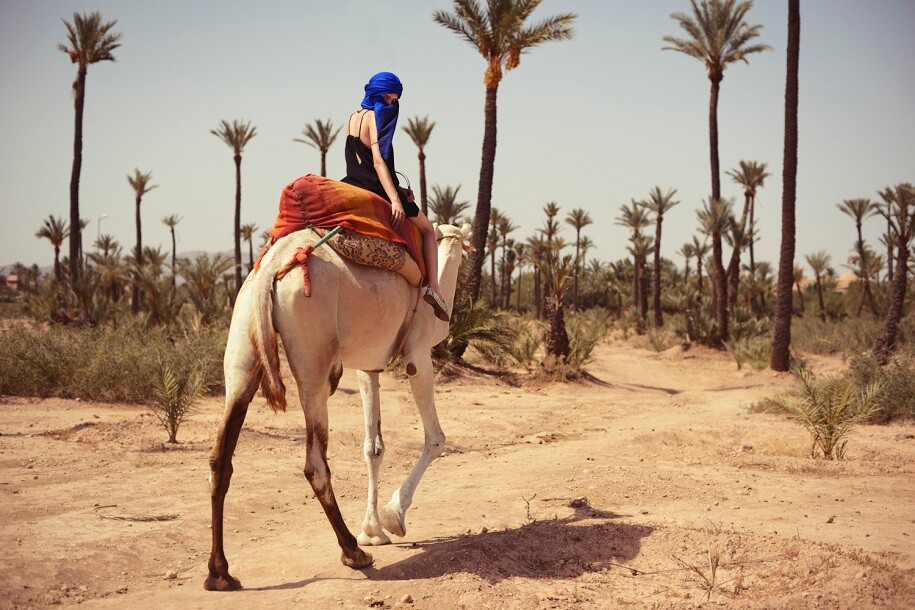 Marrakech Excurions,
