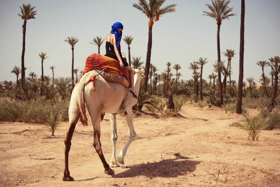 Marrakech Excurions, Quad biking & Camel riding in Marrakech