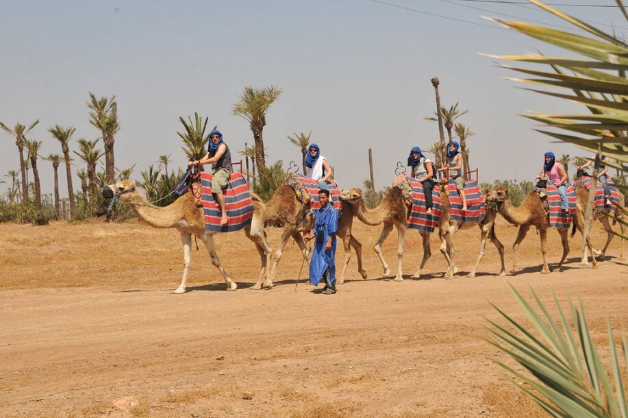 Quad e camelli a Marrakech