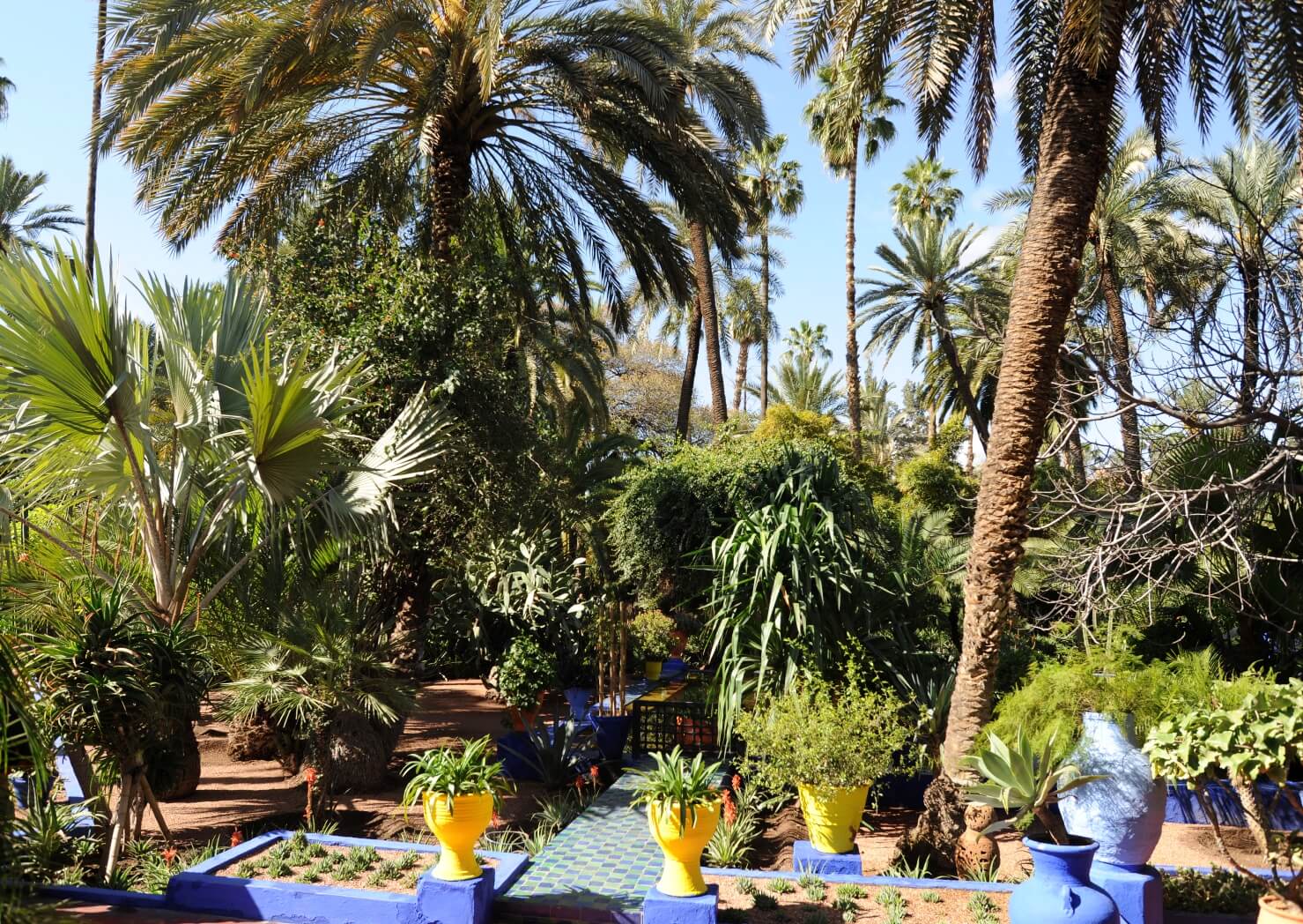 Tour of Marrakech by horse-drawn carriage: Gardens and ramparts