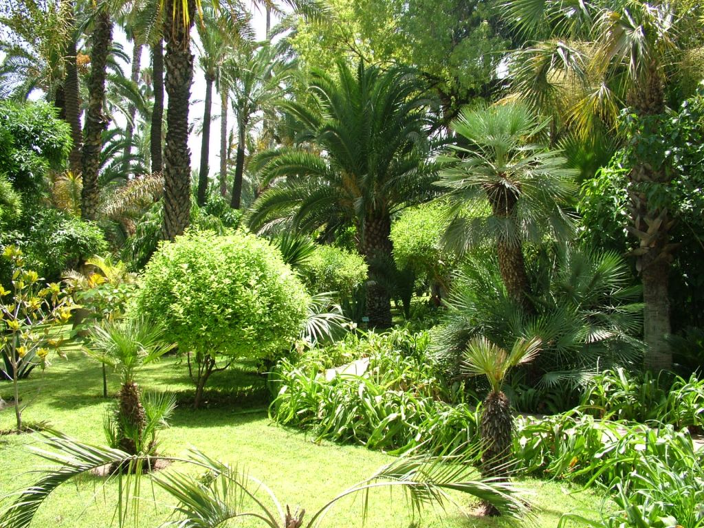 Marrakech Excurions, Tour of Marrakech by horse-drawn carriage: Gardens and ramparts