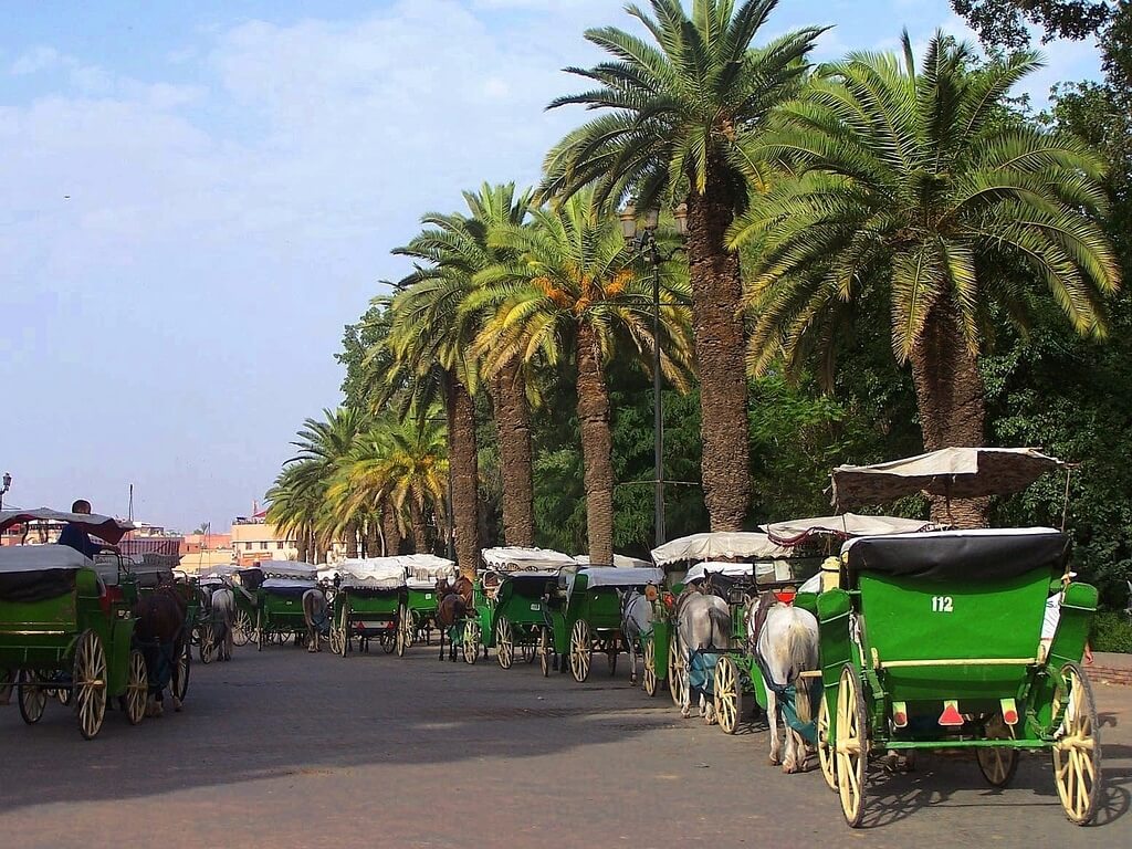 Marrakech Excurions, Tour of Marrakech by horse-drawn carriage: Gardens and ramparts