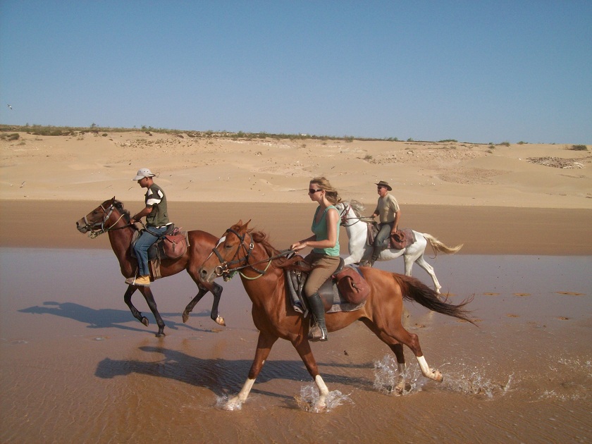 Marrakech Excurions, Excursion Essaouira de Agadir en privé