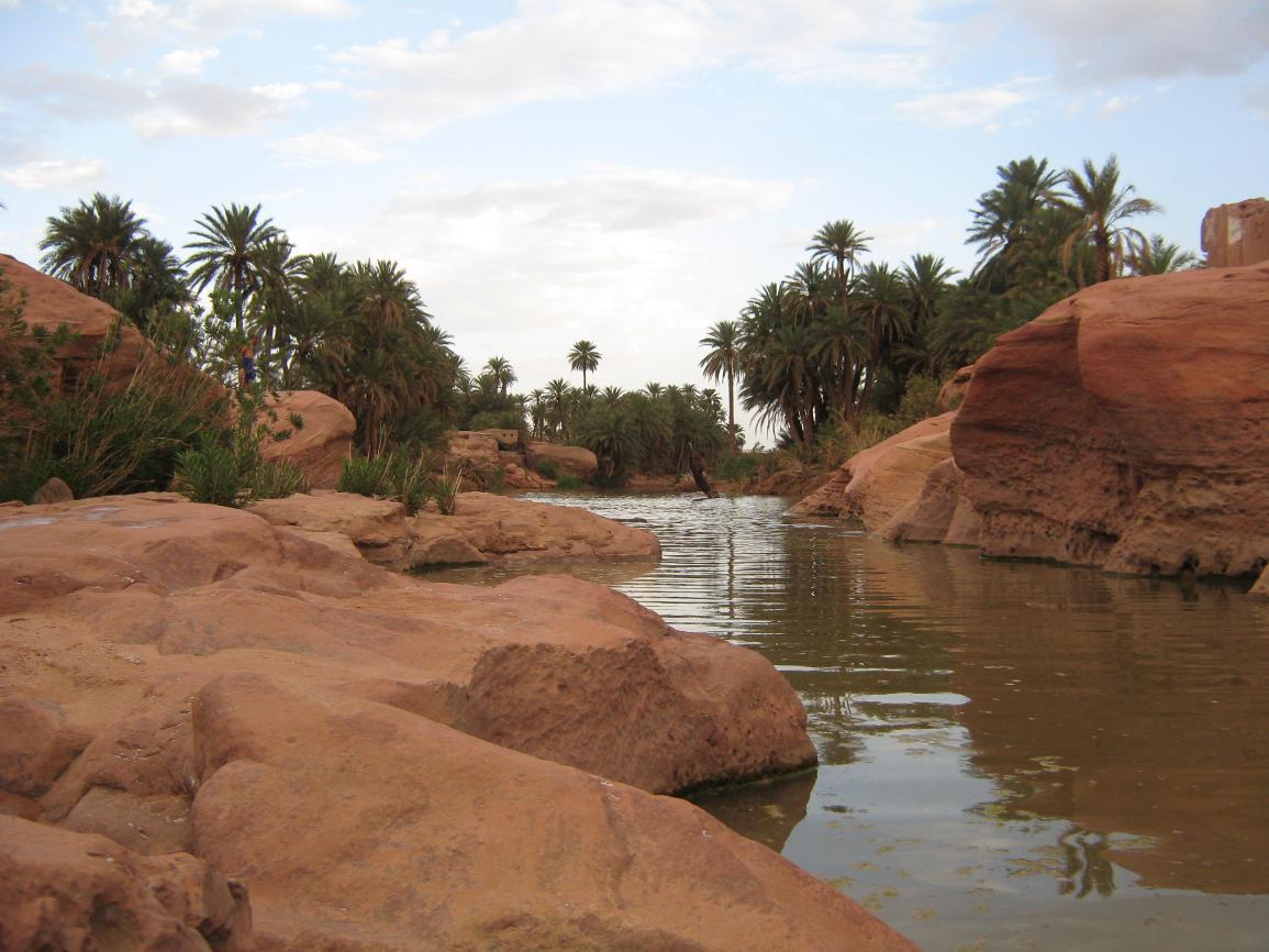 Excursion Taroudant de Agadir en privÃ©