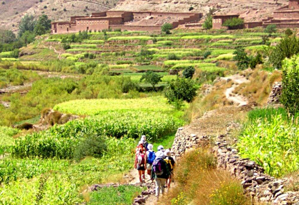 Marrakech Excurions, Journée fraîcheur dans les montagnes de l’Atlas