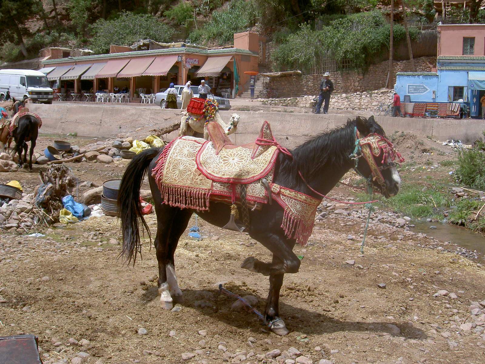 Marrakech Excurions, Cool day trip in the Atlas mountains from Marrakech