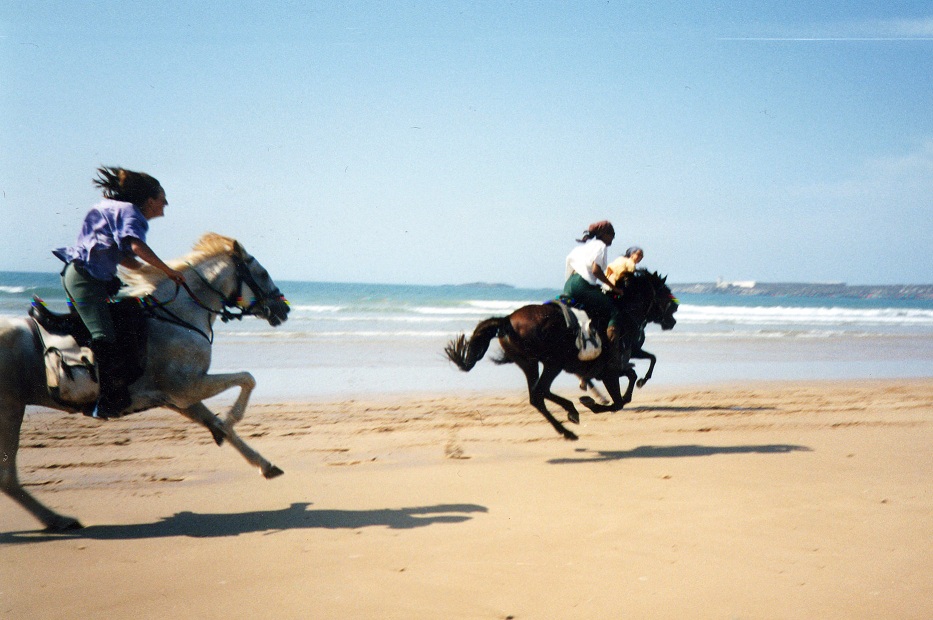 Marrakech Excurions, Excursion Essaouira au départ de Marrakech en privé