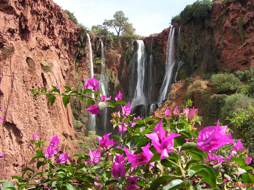 Marrakech Excurions, Excursion des cascades Ouzoud au départ de Marrakech en privé