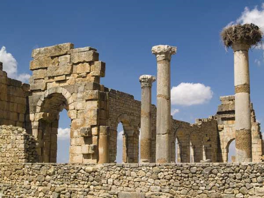 Marrakech Excurions, Excursion Meknes Volubilis from Fez