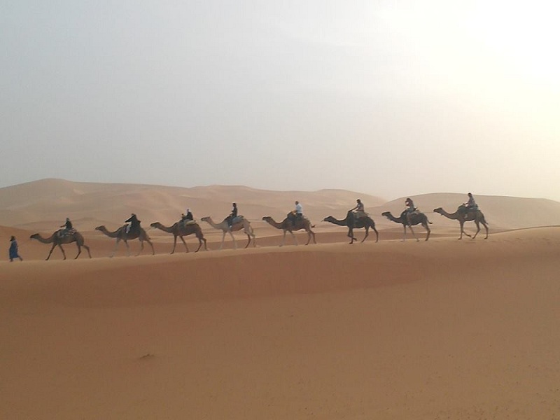 Excursion du désert de Merzouga en groupe au départ de Marrakech | 3 Jours