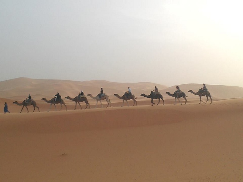 Marrakech Excurions, Excursion du désert de Merzouga en groupe au départ de Marrakech | 3 Jours