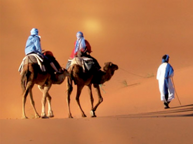 Escursione da Marrakech a Ouarzazate in gruppo