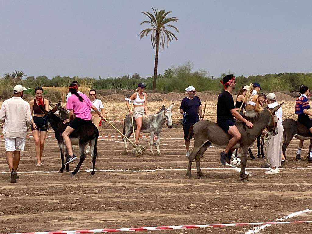 Marrakech Excurions, Polo con gli asini Marrakech, attività di gruppo marrakech divertente