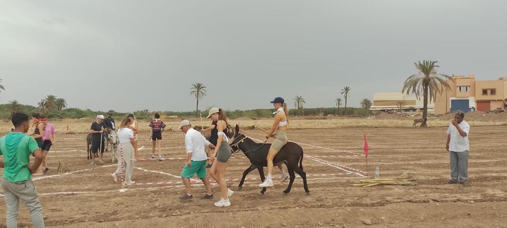 Donkey Polo Marrakech, funny group activities marrakech