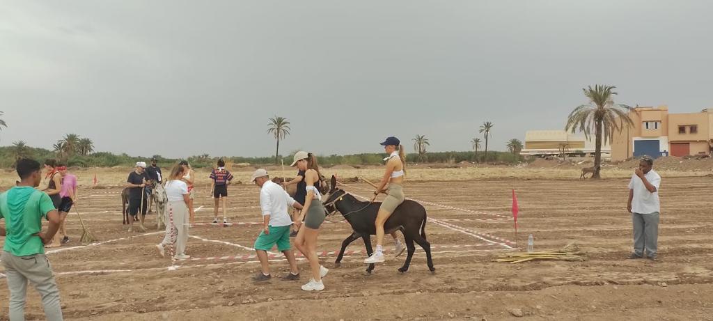 Marrakech Excurions, Polo con gli asini Marrakech, attività di gruppo marrakech divertente