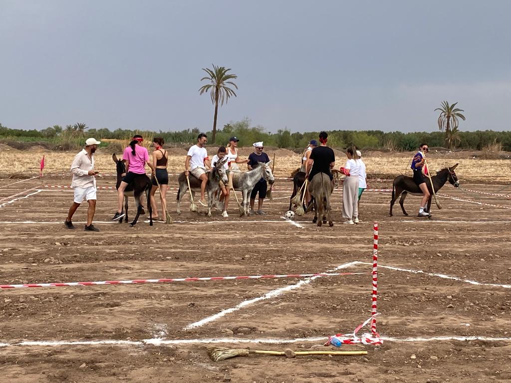 Marrakech Excurions, Polo con gli asini Marrakech, attività di gruppo marrakech divertente