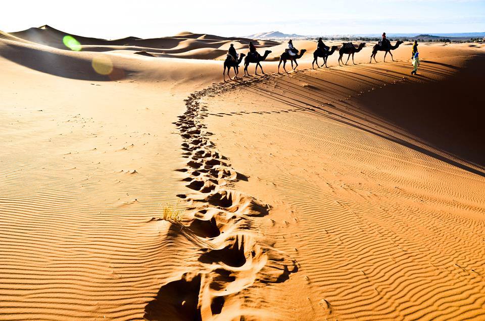 Marrakech Excurions,