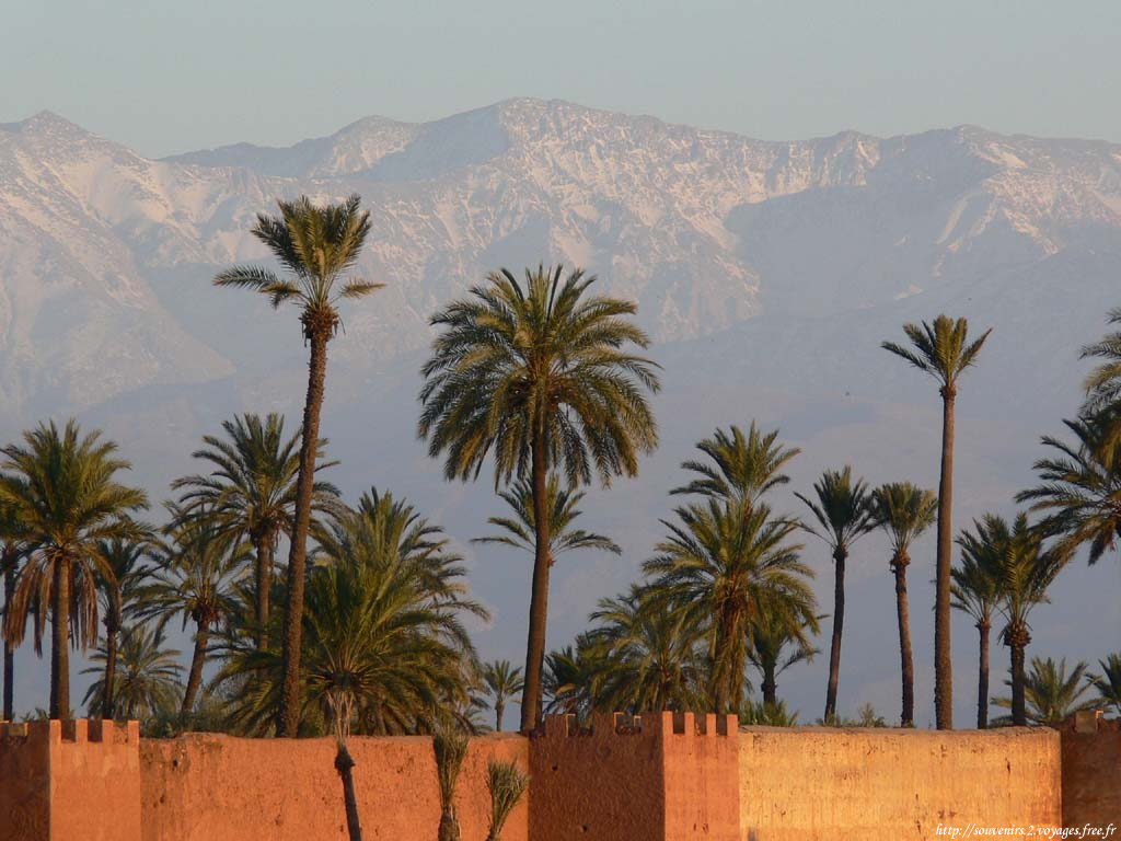 Marrakech Excurions, giro in carrozza trainata da cavalli a Marrakech