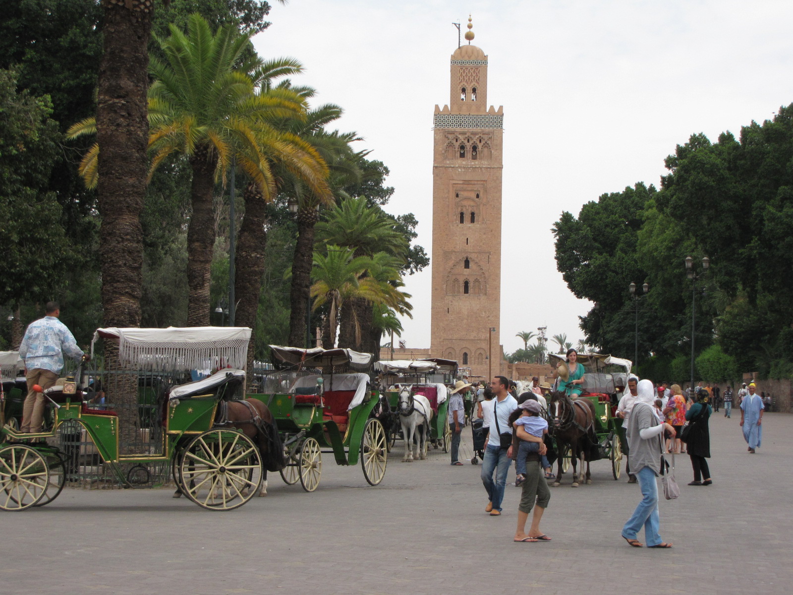 Marrakech Excurions, giro in carrozza trainata da cavalli a Marrakech