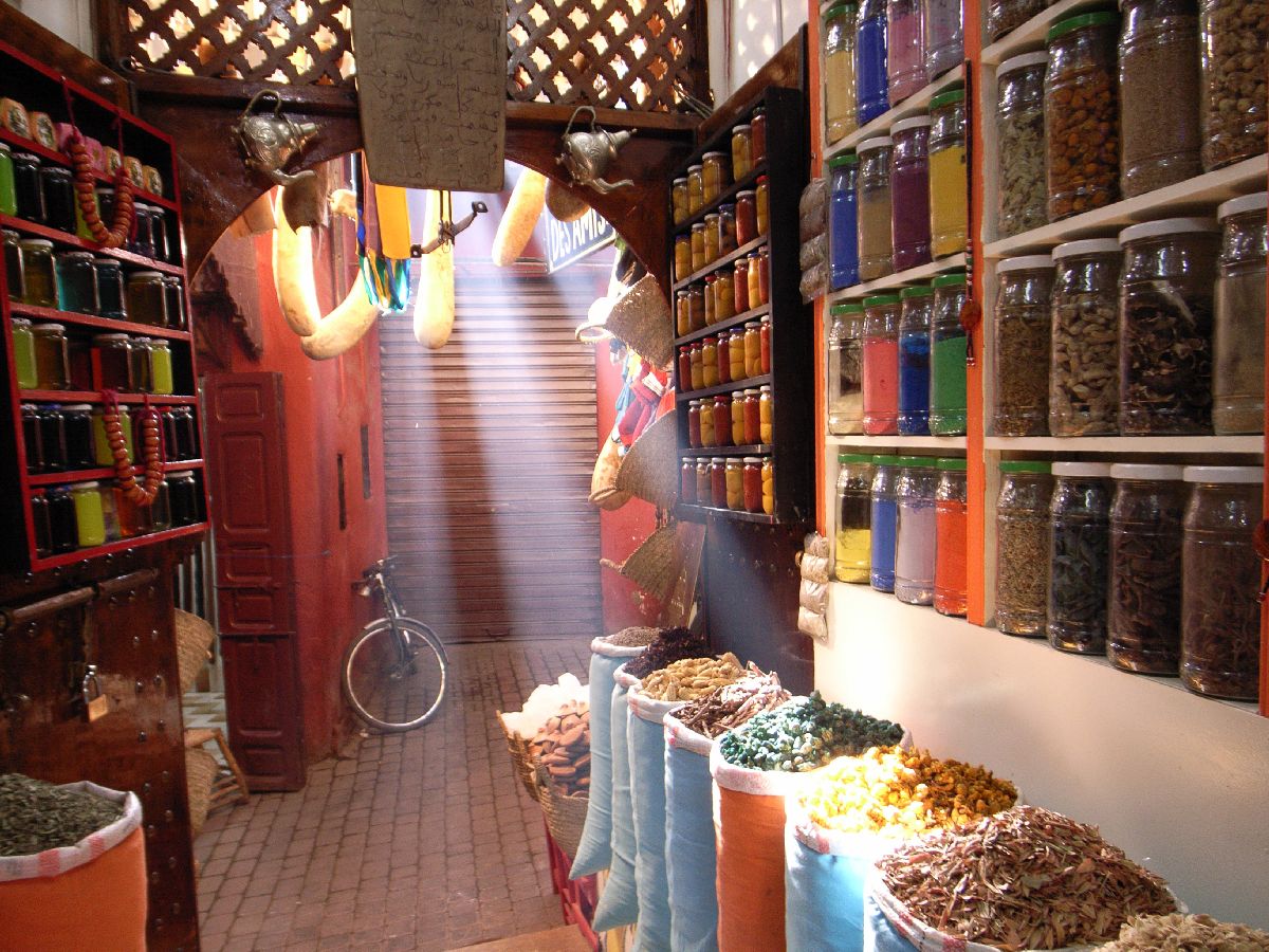 Private guided visit of Marrakech